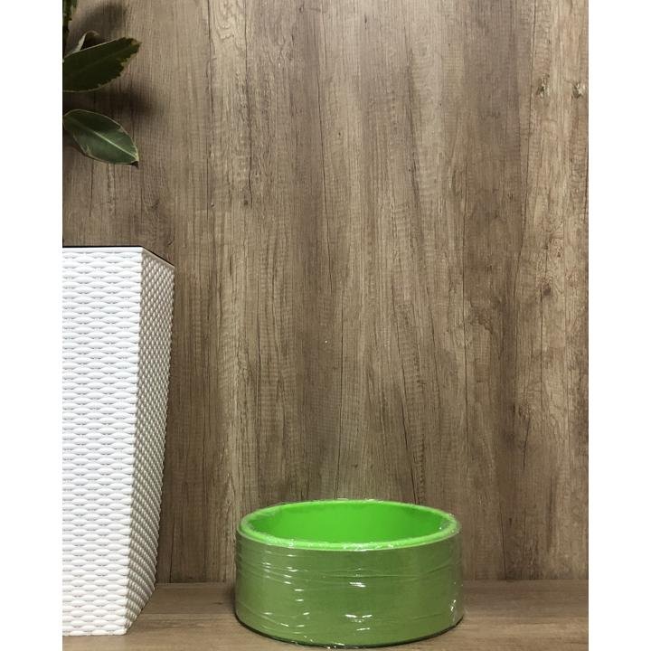 წელის რგოლი